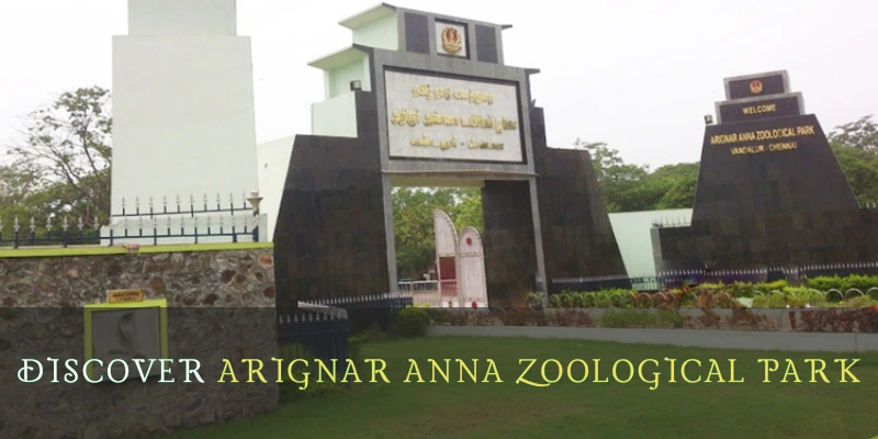 Arignar Anna zoological park in Chennai