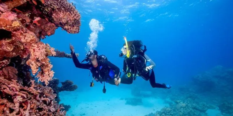 Benefits of Sea Diving In Chennai