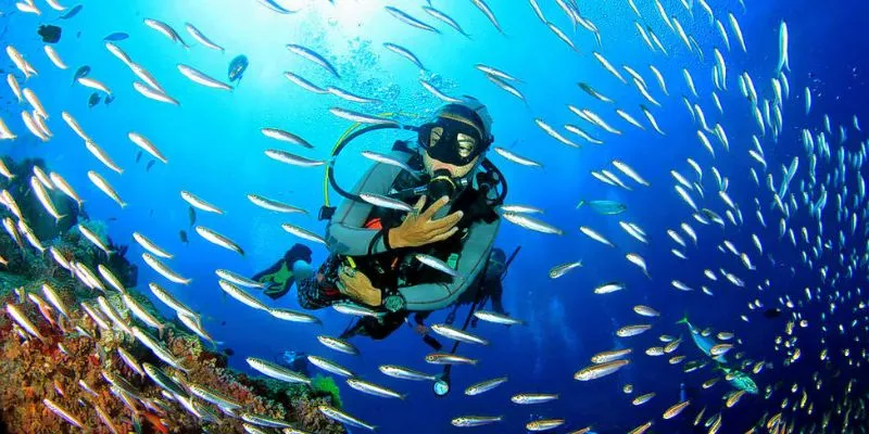 Tips for Scuba Diving in Chennai