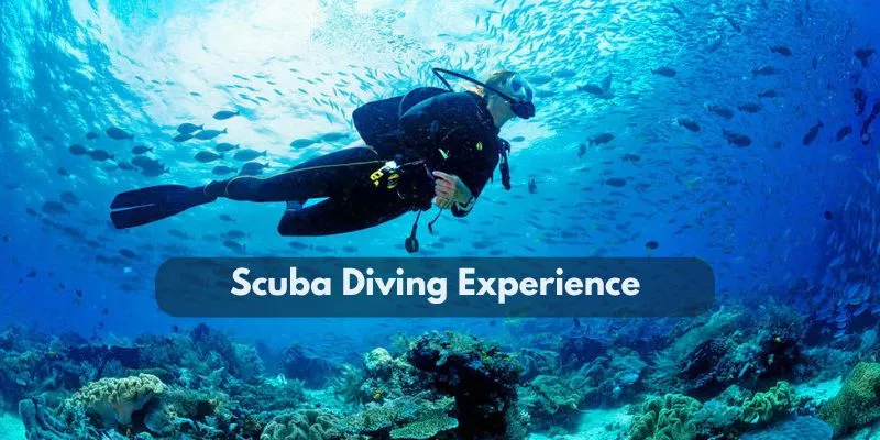 Ultimate Scuba Diving Experience in Chennai